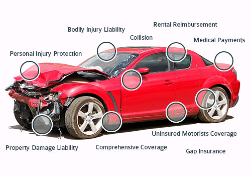 singh-auto-insurance-graphic